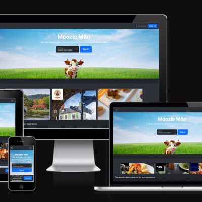 Moozle designed by North Wales Web Design and Creative Digital Agency